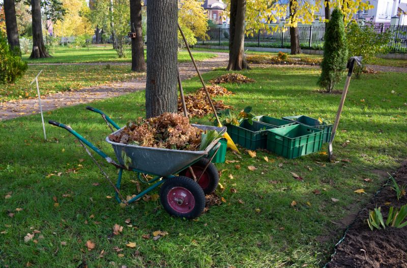 Leaf Cleanup Service