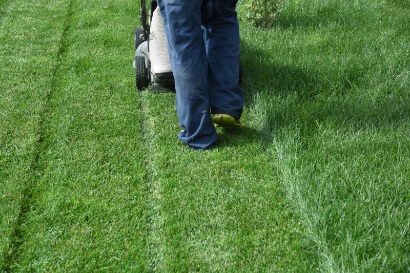 Independent Lawn Care Professionals