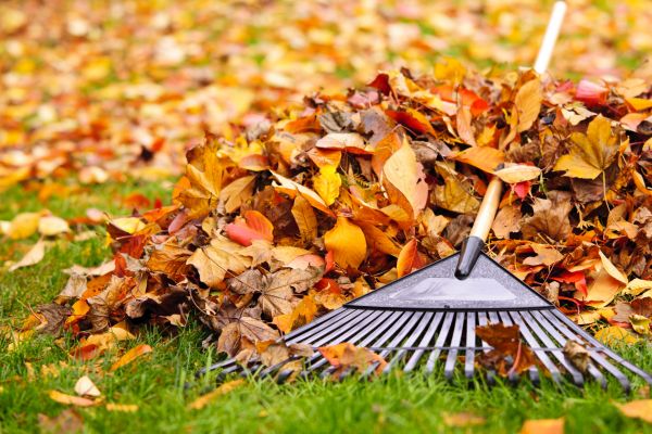 Fall Lawn Cleanup Service in Fairfield