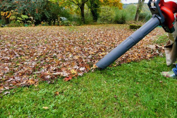 Leaf Vacuuming Service in Fairfield