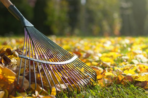 Leaf Raking Service in Fairfield