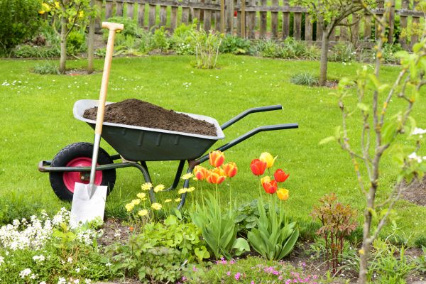 Spring Yard Cleanup in Fairfield