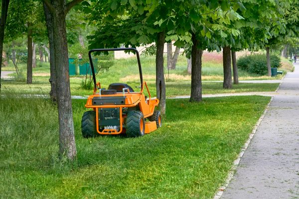 Landscaping Cleanup Service in Fairfield