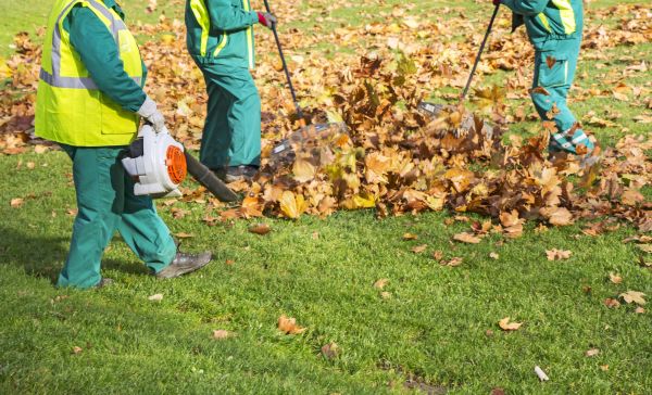 Leaf Maintenance in Fairfield