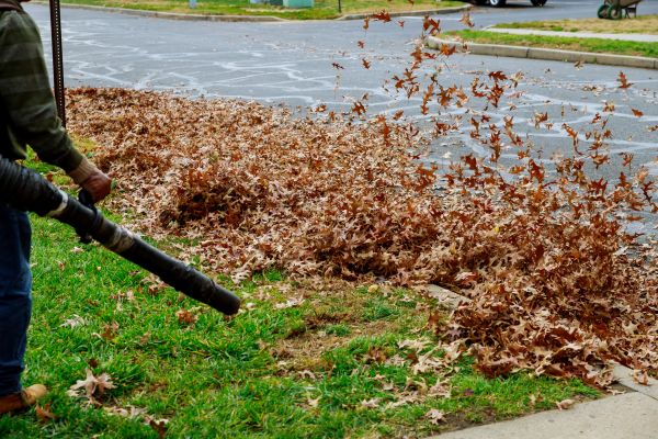 Garden Leaf Removal in Fairfield