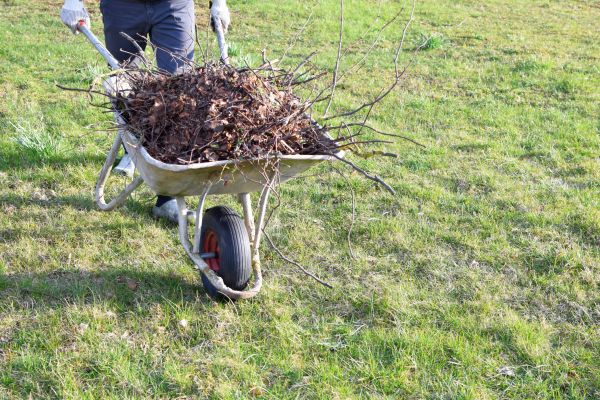 Yard Brush Removal in Fairfield