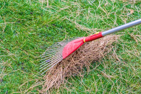 Pine Straw Raking in Fairfield