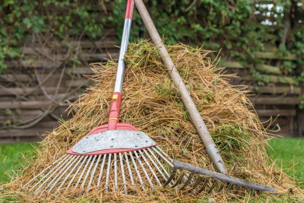 Pine Straw Clearing in Fairfield