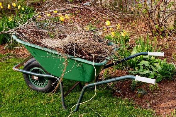 Lawn Waste Removal in Fairfield