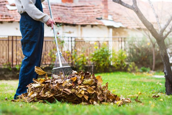 Fall Yard Cleanup Service in Fairfield