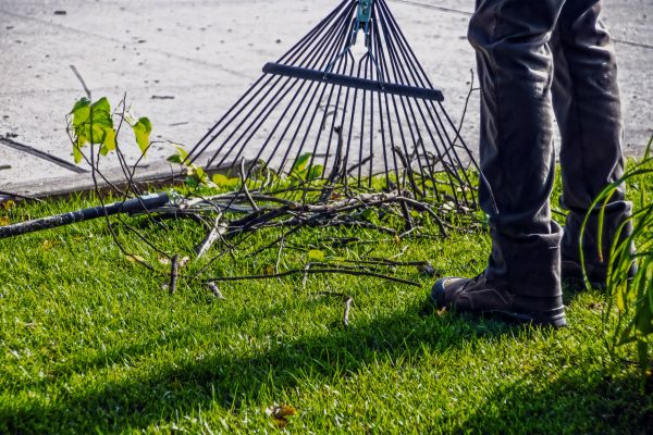 Yard Debris Cleanup in Fairfield