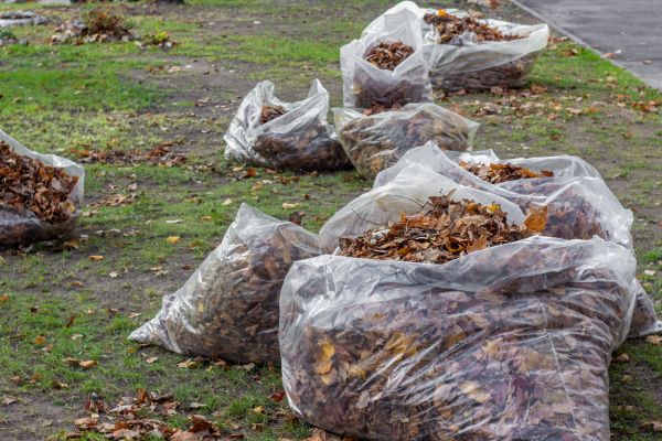 Leaf Pile Disposal in Fairfield